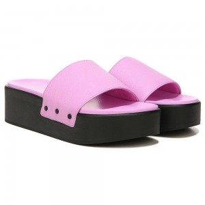Dr. Scholl's Pisces Max Badelatschen Plateausandalen Damen Lila | 135246-RJL